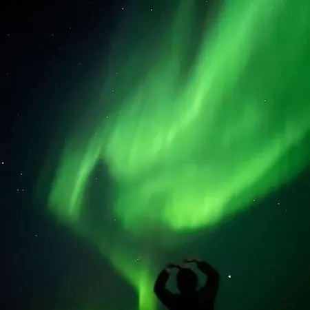 Isabella's - Lofoten *