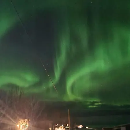 Isabella's - Lofoten